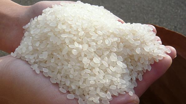 Gạo Japonica là loại gạo hạt tròn, ngắn, có nguồn gốc từ Nhật Bản