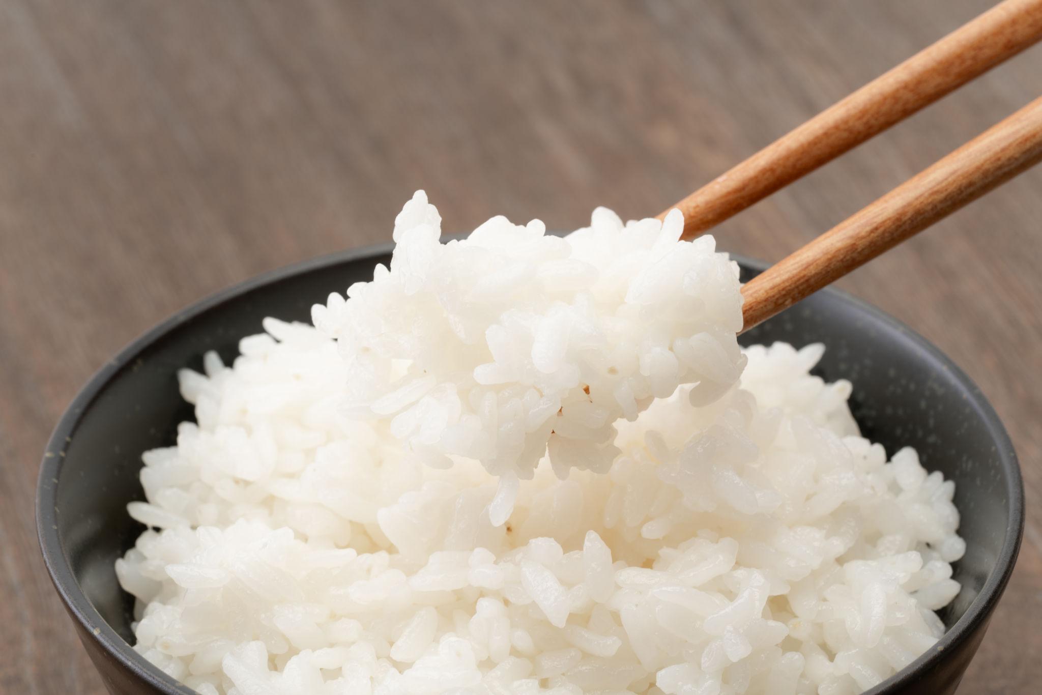 Lợi ích của việc ăn gạo Japonica: Vì sao ngày càng được nhiều gia đình lựa chọn?