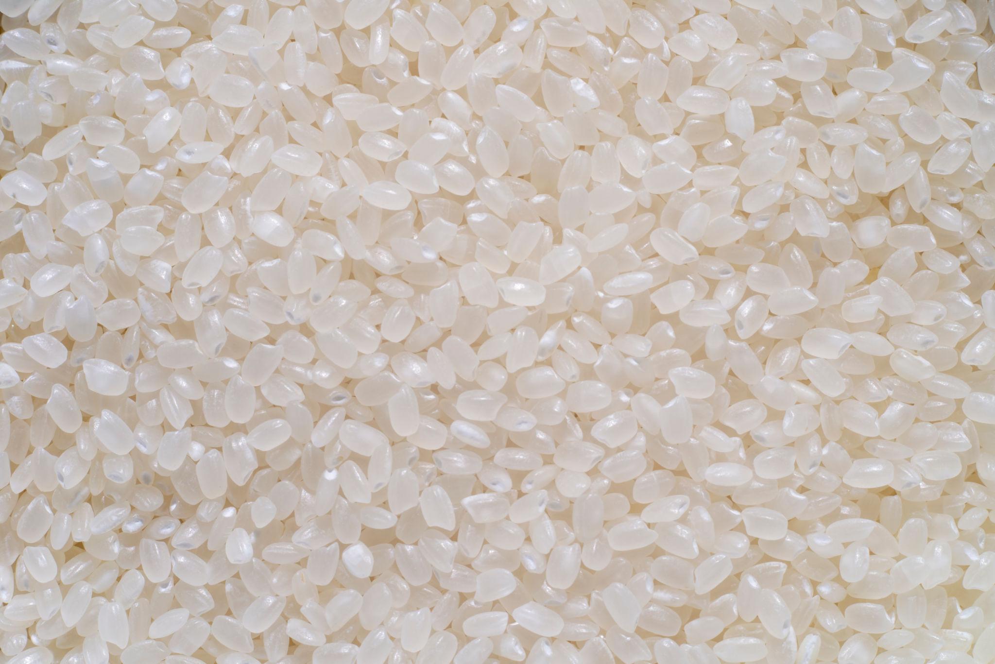 Gạo Japonica có kết cấu mềm dẻo