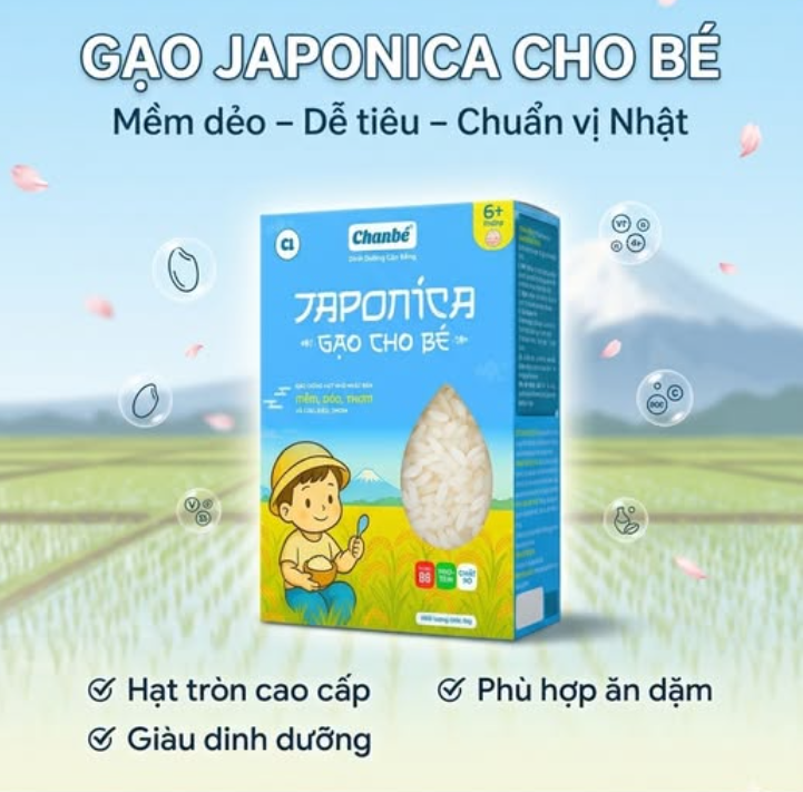 Gạo Japonica ChanBé được chọn lọc từ nguồn nguyên liệu chất lượng