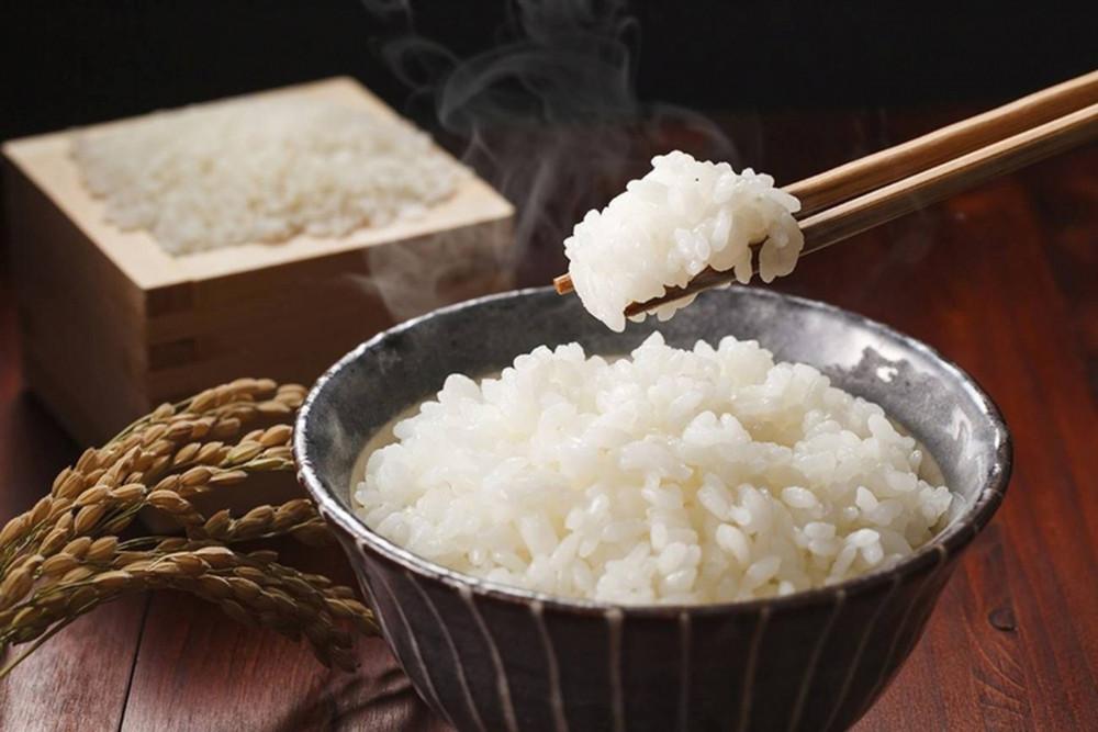 Gạo Japonica có đáng mua không? Review thực tế cho gia đình